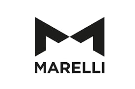 Magneti Marelli IWP-069 Fuel Injector High-Performance 480cc/min Flow Rate, 14.5 Ohms High Impedance, OEM Replacement for Ducati Superbikes, Mercruiser Marine Engines, and Harley-Davidson Motorcycles