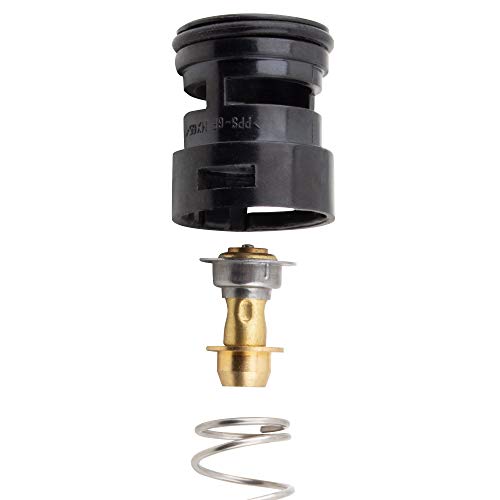 BOXI Coolant Expansion Tank Thermostat Fits for BMW E46 E83 E53 E85 E86 for BMW X3 X5 Z4 330i 330xi 330Ci 328i 328Ci 325i 325xi 325Ci 323i 323Ci (Replaces 17111437362 17 11 1 437 362)