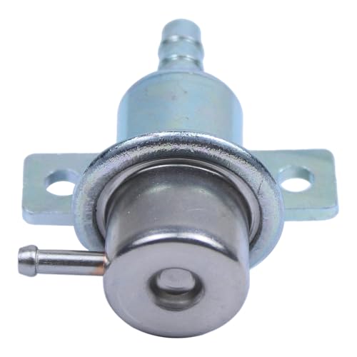 Fuel Injection Pressure Regulator for Ford