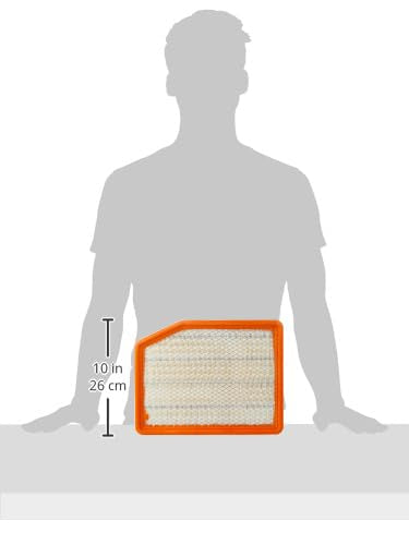 ACDelco GM Original Equipment A3244C (84121219) Air Filter