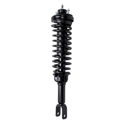 Detroit Axle - 2 Rear Ready Struts for 1996-2000 Honda Civic 1997-2000 EL - size: 171292 x2/PAIR