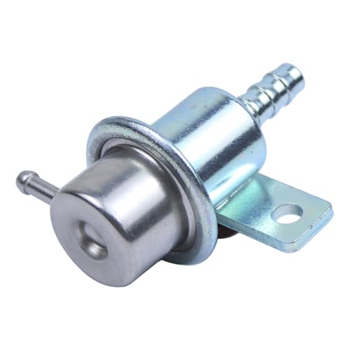 Fuel Injection Pressure Regulator for Ford