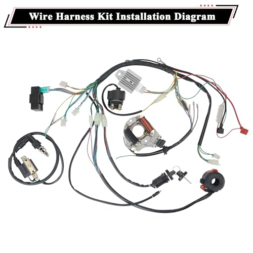 Wiring Harness Kit with 2-Pole Magneto Stator Full-Wave Regulator - style: ZMBWH008YFJ-6