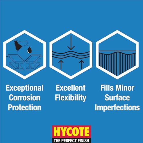 Hycote High Temp Spray Paint, Clear 400ml - VHT Heat Resistant up to 650°C - Transparent Fnish, for Exhausts, BBQs, Manifolds & More – Self-Priming, Durable, Petrol & Oil Resistant, 13.5 Oz - color: Clear Transparent, size: 13.5 Ounce (Pack of 1)