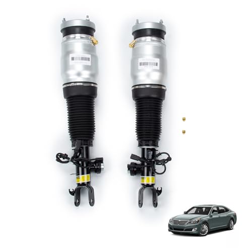 2 PCS Front Complete Struts Assembly Shock Absorbers Air Suspension Compatible with 2011-2016 Hyundai Equus Sedan, Replacement Struts Shocks Assembly for 546053N517, 546063N517, 546053N530, 546063N530 - size: F392