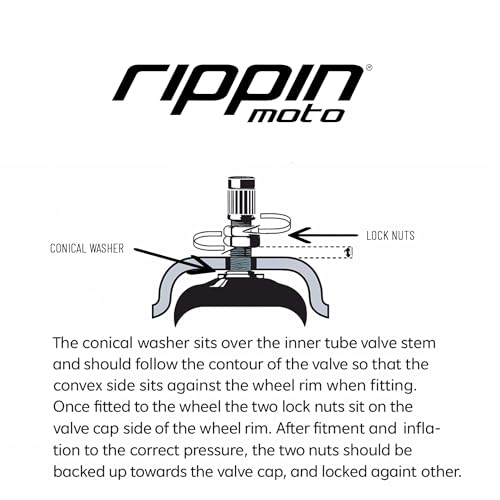 Rippin Moto 2.75/3.00-19 Heavy Duty Inner Tube (70/100-19) 2.5mm Thick - TR4 Valve - Fits Most 3.0-19 Motocross Tires, Surron Light Bee X, Talaria and Segway X160/X260