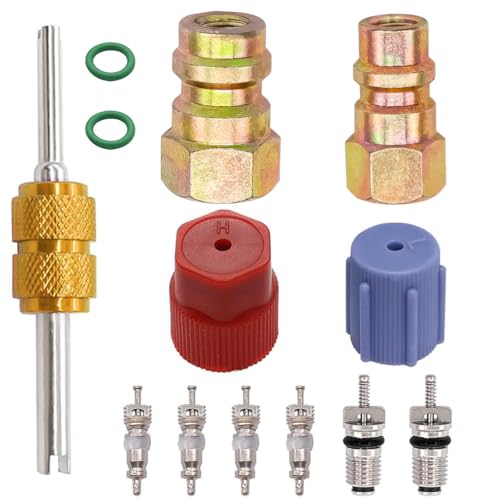 Taiss 11PCS R12 to R134A Conversion Kit,R12 R22 to R134A High/Low Fittings Port with 1/4’’to 7/16"-20 UNF Connection,AC Retrofit Fitting Adapter Kit for AC Air Conditioner Refrigerant System - color: 11PCS