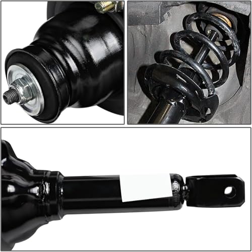 Auto Dynasty Rear Struts Shocks Assembly and Coil Spring Compatible with 1994-1997 Honda Accord 5th Gen, Left and Right Complete Pair Shock Absorber SR4050 SR4049