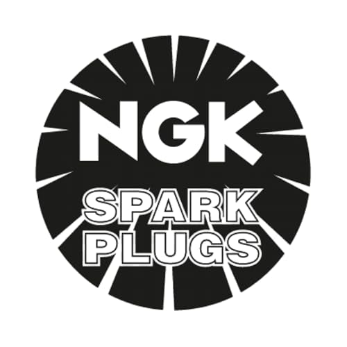 R5671A-8 Racing Spark Plugs 4554 | Set of 8 | Performance Plugs for Race & High-Compression Engines