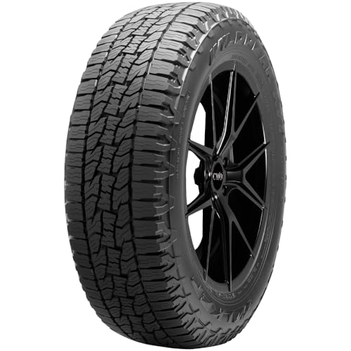 Carlisle Stryker 22/9-10 B