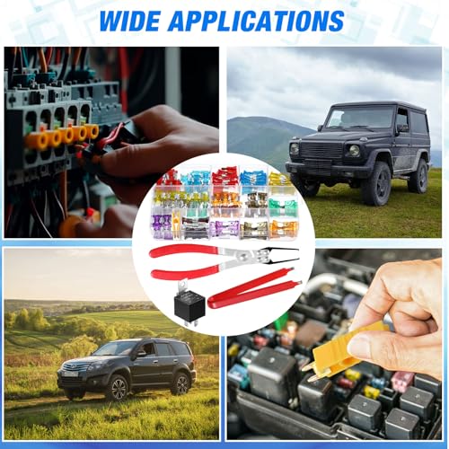DaisyInner 168 Pcs Car Fuse Assortment Kit 54 Standard and 114 Mini Blade Auto Fuses 2/3/5/7.5/10/15/20/25/30/35/40A, 10 Pcs Car Relay 5 Pin 12V 30/40A and 2 Pcs Relay Fuse Puller Pliers Removal Tools