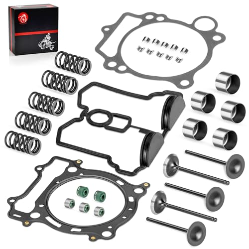 Cylinder Head Exhaust Intake Valve & Spring Gasket Kit for YFZ450 WR450F