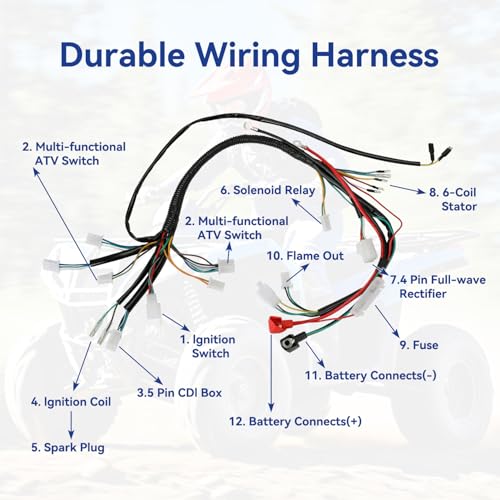 Complete Wiring Harness Kit Compatible with Tao tao Coolster 110cc 125cc Chinese ATV Quad 4 Wheeler 4 Stroke Parts with Ignition Coil Relay Solenoid Voltage Regulator CDI Box Stator Starter