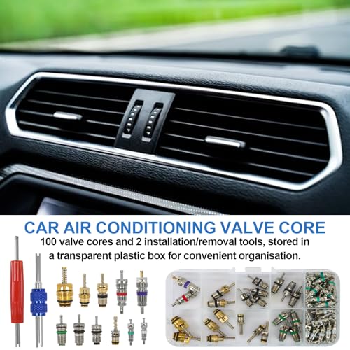 102Pcs Auto Air Conditioning Valve Core Accessories Kit