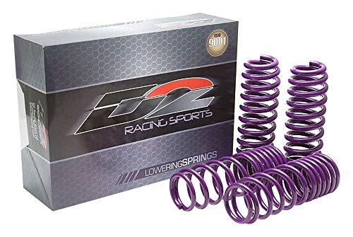 D2 PRO Lowering Springs for 17+ Model 3 RWD