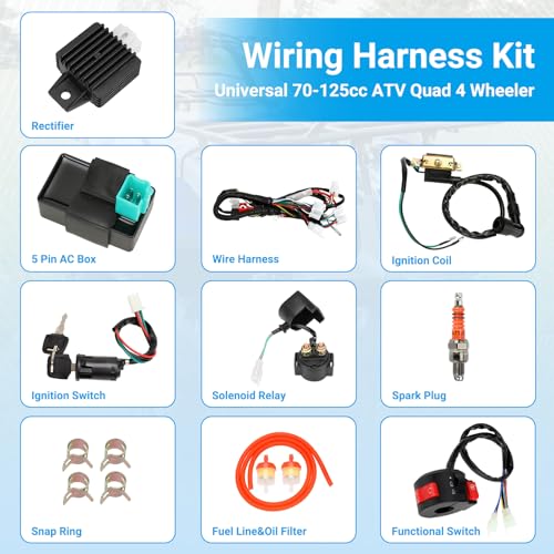 EOPOAYI Electric Wiring Harness for Taotao Coolster 110cc 125cc Chinese ATV