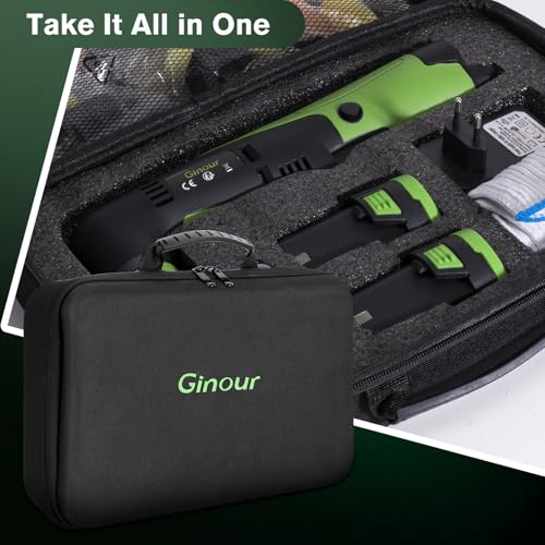 Ginour Cordless Mini Buffer Polisher for Car Detailing, 12V Mini Car Polisher Kit with 1"&1.2" Backing Plate,2X 2.0Ah Batteries and Accessories, RO/DA 6 Speeds for Polishing, Waxing, and Cleaning