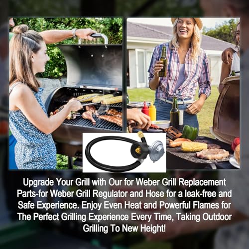 25" For Weber Hose and Regulator kit, Compatible With Spirit II (2017-2019),and Spirit E310 E320 E210, Genesis II 210/LX 240, and Genesis II 300/400 (2017-2019) Gas Grills,for Weber 67069,69891. - size: 25IN for Weber Genesis/Spirit/Summit etc