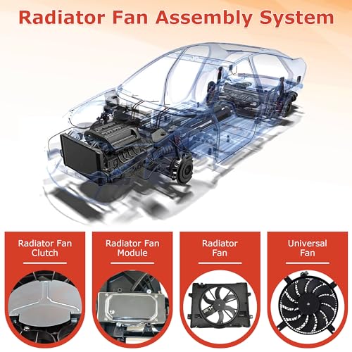 PartsFlow Radiator Dual Cooling Fan 620-938 Assembly Compatible with 2015-2016 Honda CRV L4 2.4L Right 38611RMXA51 - color: For Honda CRV