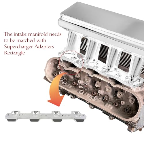 LS Intake Manifold with 102mm Throttle Body Fuel Rails Kit Replacement for Chevy 4.8 5.3 6.0 6.2 LS LS1 LS2 LS6 Sheet Metal Al Fabricated Silver - color: Silver