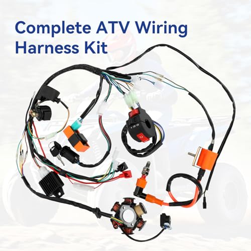 Complete Wiring Harness Kit Compatible with Tao tao Coolster 110cc 125cc Chinese ATV Quad 4 Wheeler 4 Stroke Parts with Ignition Coil Relay Solenoid Voltage Regulator CDI Box Stator Starter