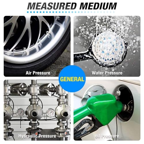 MEANLIN MEASURE 0~100Psi Stainless Steel 1/4" NPT 2.5" FACE DIAL,Liquid Filled Pressure Gauge,WOG Water Oil Air Lower Mount (Pack of 2), with 1/2" NPT and 3/8" NPT Hex Bushing - size: 0-100Psi (2Pcs)
