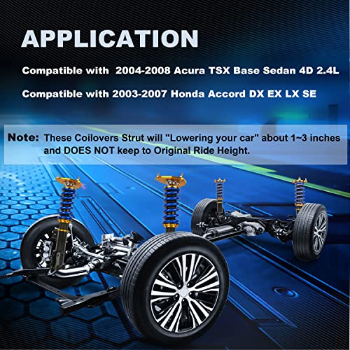 MOSTPLUS Full Coilovers Struts Compatible with 2004-2008 Acura TSX/2003-2007 Honda Accord LX EX DX SE Adjustable Height Shock Absorber Assembly (Set of 4) - size: 2003-2007 Honda Accord