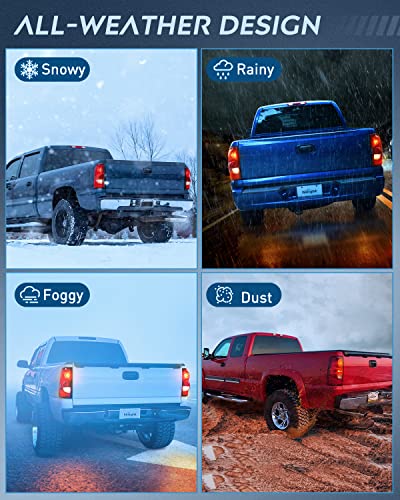 Nilight Taillight Assembly Compatible with 2003-2006 Chevy Silverado - color: Driver Side