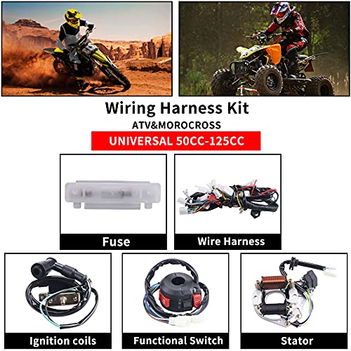 Complete Electrics Wiring Harness Relay Stator Coil CDI Solenoid Spark Plug for 4 Wheelers Stroke ATV (50cc 70cc 110cc 125cc) Pit Quad Dirt Bike Go Kart taotao By OTOHANS AUTOMOTIVE