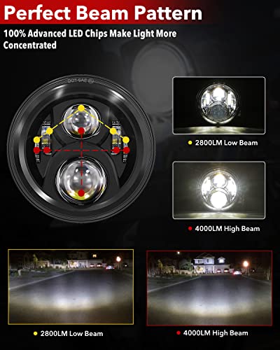 BICYACO 7 Inch LED Motorcycle Headlight with 4.5 Inch Fog Lights Passing Lamps DOT SAE Approved, Compatible with Harley Davidson Classic Electra Street Glide Fat Boy Road King Heritage Softail Black - color: Black E