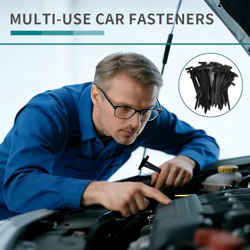 Nylon Universal Cable Tie Buckle, Zipper Clips for Cars, T Style Zip Ties Button Fixion Tools, Automotive Plastic Rivet Push Pin, Auto Body Parts Trim, Bumper Retainer Fender Liner (Black 100PCS) - color: Black 100pcs