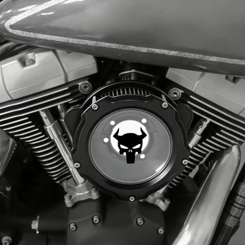 TOFR Air Filter for Harley Softail 2001-2015, Dyna 2004-2017, Touring 03-07