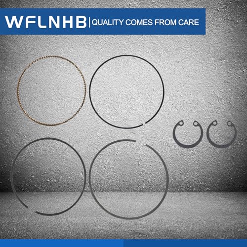 WFLNHB Cylinder Kit Piston 13.5:1 Replacement for Yamaha YFZ450