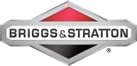 Briggs & Stratton 100036 16oz 2-Cycle Engine Oil