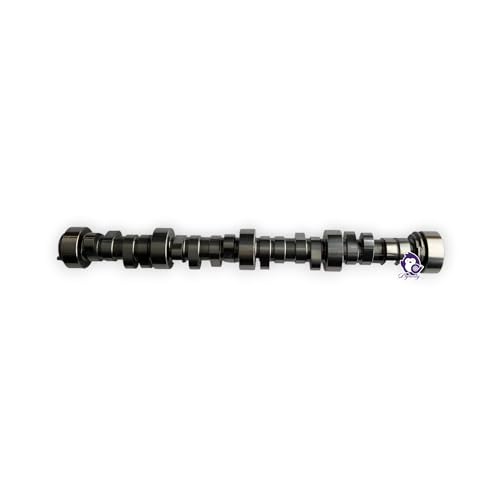 Dynosty Brian Tooley Racing BTR Red Hot Cam Kit LS1 LS2 LS3 5.7L 6.0L 6.2L Redhot Camshaft