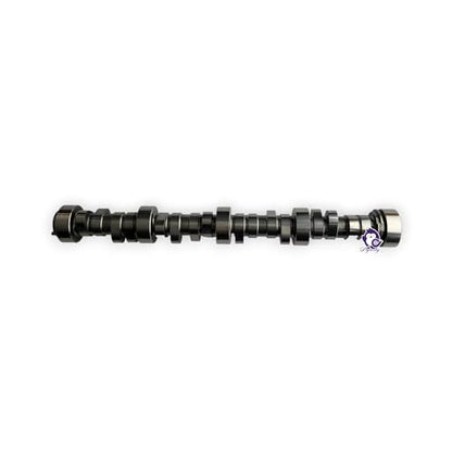 Dynosty Brian Tooley Racing BTR Red Hot Cam Kit LS1 LS2 LS3 5.7L 6.0L 6.2L Redhot Camshaft