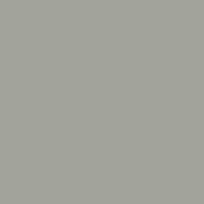 Rust-Oleum 249279-2PK Automotive Filler Primer Spray, 11 oz, Gray, 2 Pack - color: Gray, size: 1 Count (Pack of 2)
