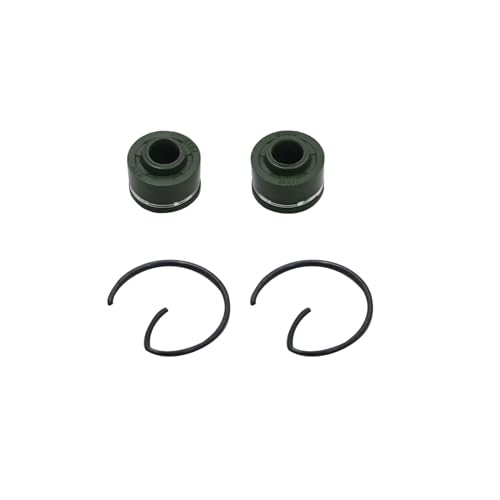 Priprilod Engine Rebuild Kit Compatible with Suzuki DR200 DR200S DR200SE 1986-2017 Cylinder Piston Gasket Set Top End Rebuild Kit with Rings & Seals