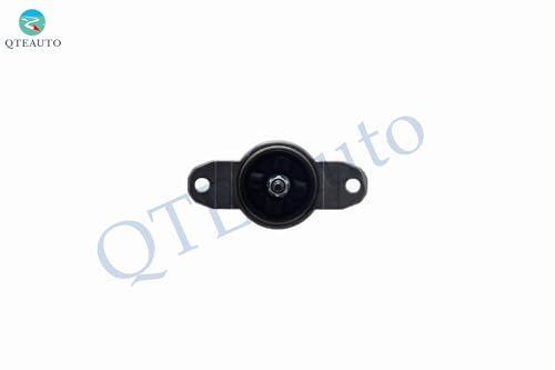 PM Auto Pair of 2 Rear Complete Shock Absorber Kit Compatible With 2013-2019 Ford Escape Monotube