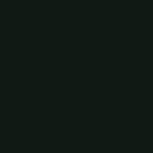 Rust-Oleum High Heat Paint, 12 Fl Oz, Bar-B-Que Black, Pack of 2 | Spray Format | Heat Resistant - color: Bar-B-Que Black, size: 12 oz (Pack of 2)