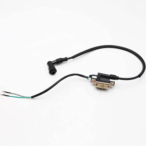 PRO BAT 110cc ATV Full Wiring Harness w/ 2-Coil Stator 5-Pin AC CDI - color: White Spark Plug