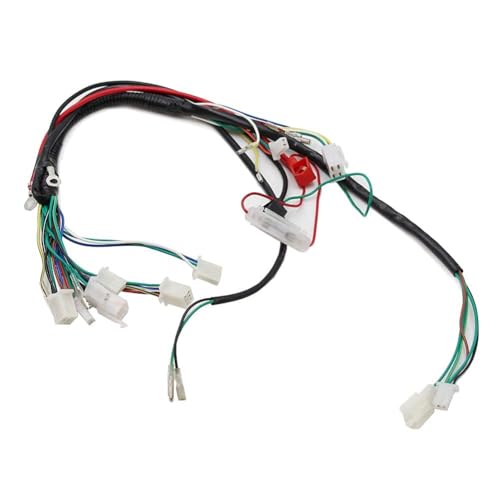 PRO BAT 110cc ATV Full Wiring Harness w/ 2-Coil Stator 5-Pin AC CDI - color: White Spark Plug