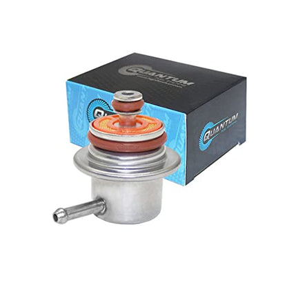 QFS Fuel Pump Kit for Mercury Marine 30HP 40HP 50HP 60HP EFI Outboard - size: Fuel Pump w/Regulator