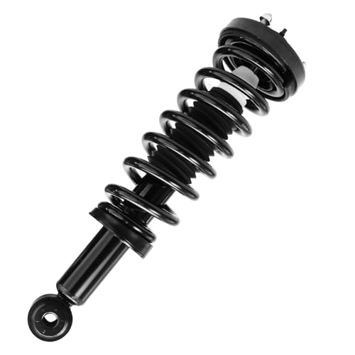 Detroit Axle - RWD Struts Shocks Kit for 2005 2006 2007 2008 Ford F-150 - size: 6AQS47259-V1/ strut shock sway kit