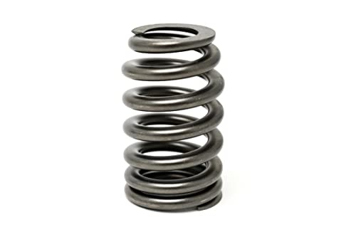 Texas Speed Stage 1 Low Lift Camshaft 4.8 5.3 6.0 Includes Cam, Springs, Pushrods, Seals and Gasket Install Kit - size: Camshaft, Springs, Seals and Pushrods