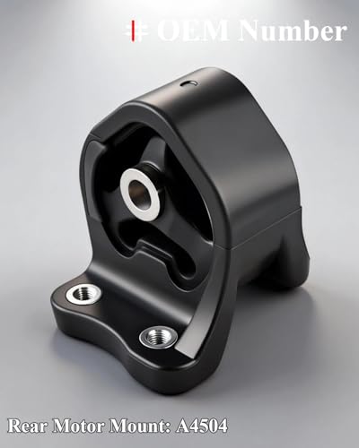 Rear Engine Motor Mount for Honda CRV EX LX 2002-2006,Element DX EXLX 2.4L - style: Set of 1 for Honda Element 2002-2006