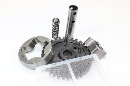 Oil Pump Kit Compatible with Kawasaki Mule 2510/3010 / 4010 (KAF620) with Filter/Rotors/Spur Gear/Springs/Shaft/Dowl Pins
