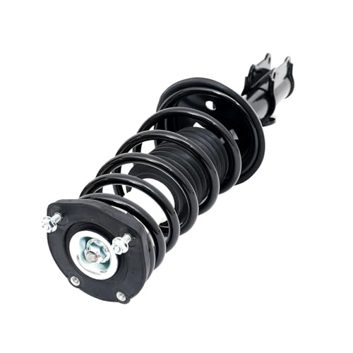 FKG 171953 171954 Rear Shock absorber Strut Assembly Fit for 1993-2002 Toyota Corolla (Not for Wagon Models), 1998-2002 Chevy Prizm, 1993-1997 Geo Prizm, Set of 2