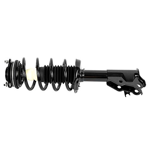 Front Struts Assembly with Coil Spring 172284 172285, 2 PCS