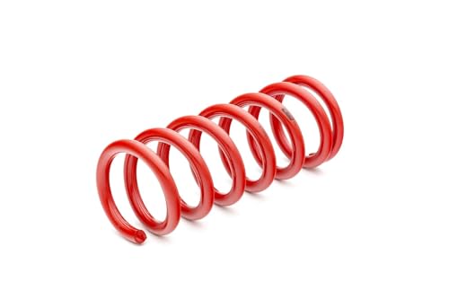 Eibach SPORTLINE Kit Springs 4.1035 Set of 4 Compatible with Ford Mustang GT Coupe SN95 1994 to 2004